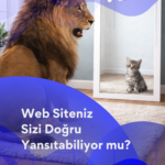 Web Siteniz Sizi Doğru Yansıtabiliyor mu?